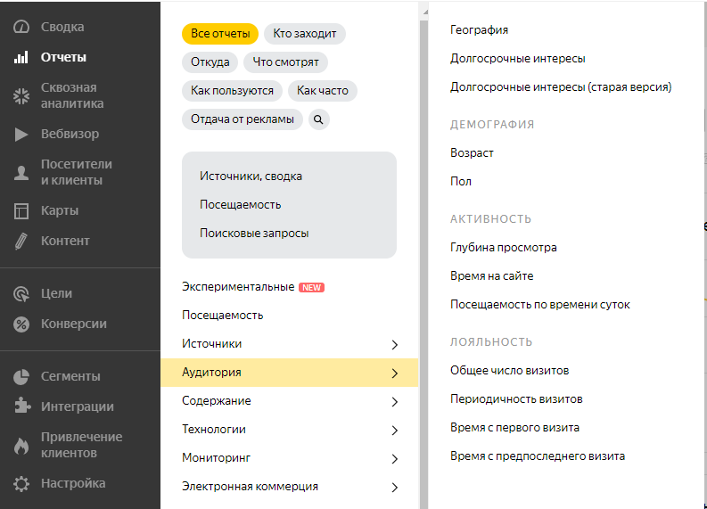 Параметры анализа аудитории в «Яндекс.Метрике»