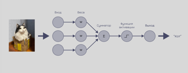 кот с блок-схемой