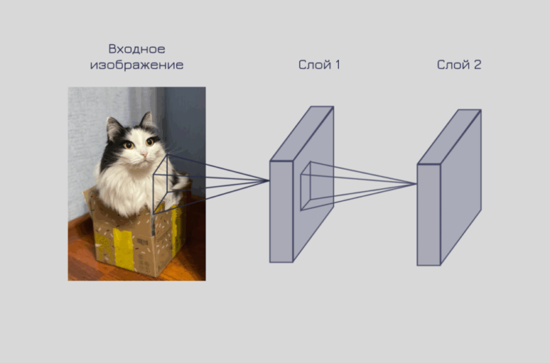 кот и 2 компонента