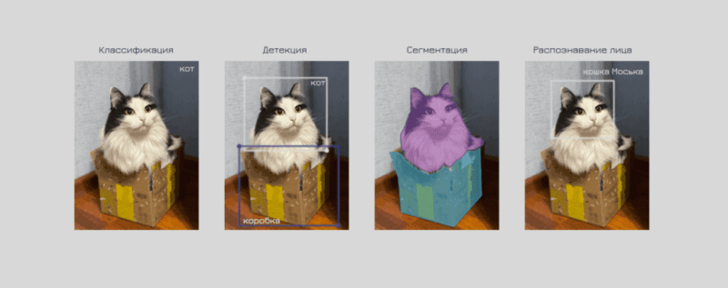 4 кота
