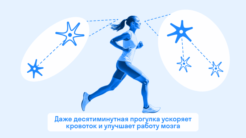 Даже десятиминутная прогулка ускоряет кровоток и улучшает работу мозга