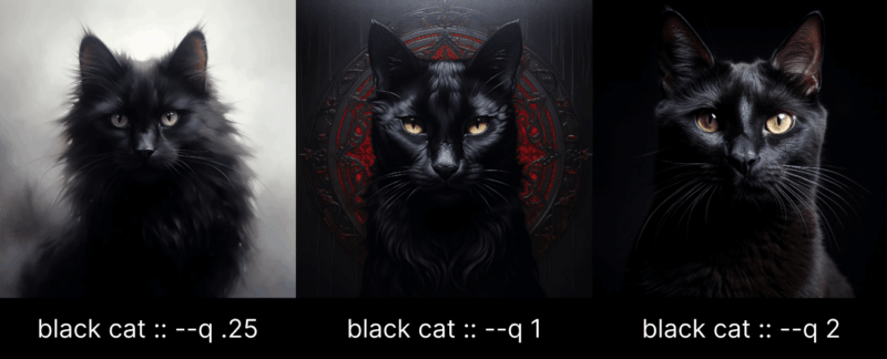 черный кот