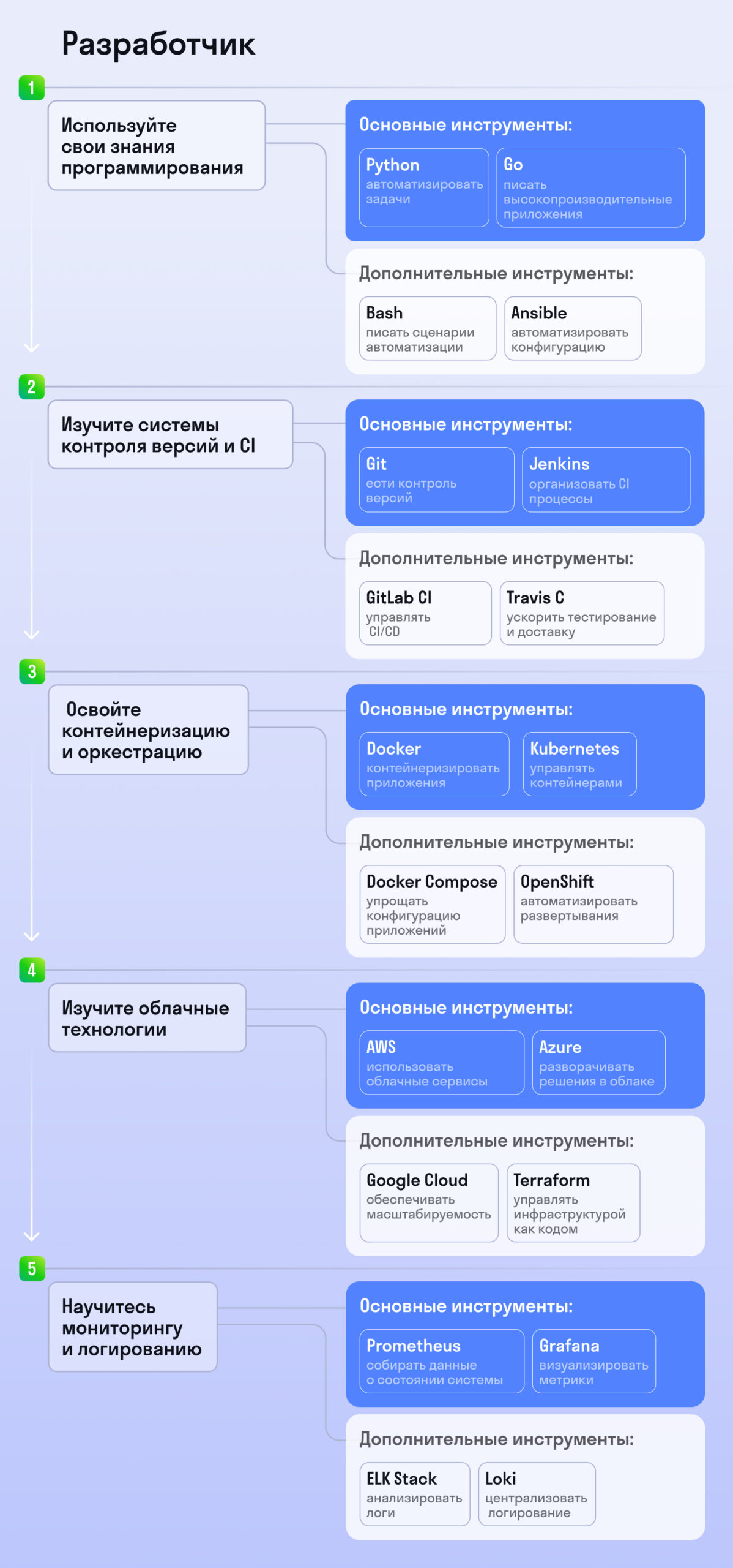 дорожная карта разработчика