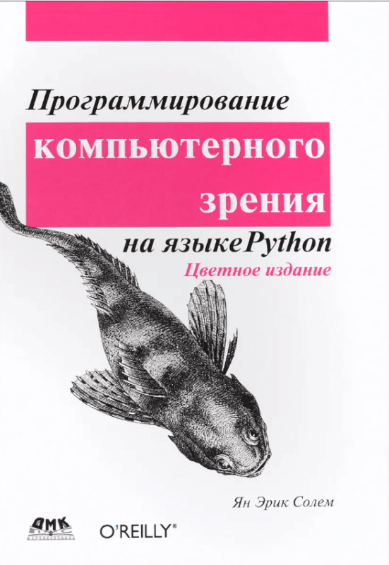 программирование компьютерного зрения 