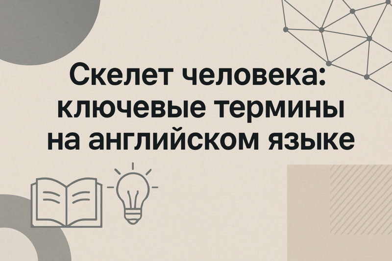 skalet-cheloveka-klyuchevye-term_ceh_angliyskom_yazyke