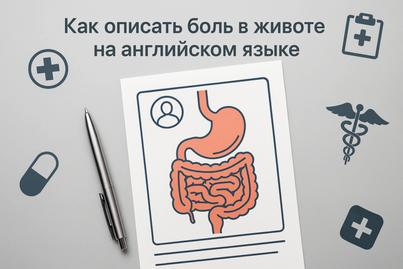 kak-opisat-bol-v-zhivote-na-angliyskom-yazyke