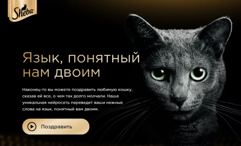 Стратегия позиционирования бренда Sheba